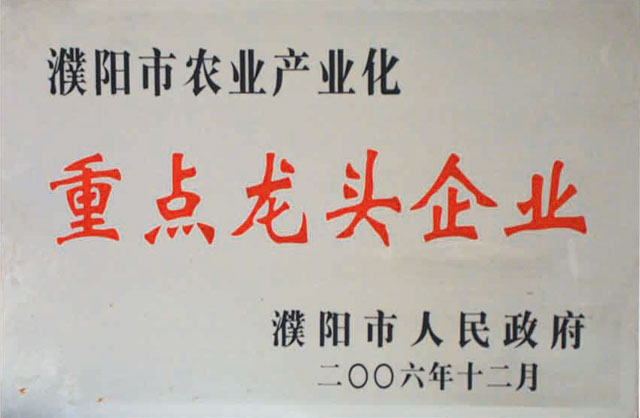 2006年重點龍頭企業(yè)